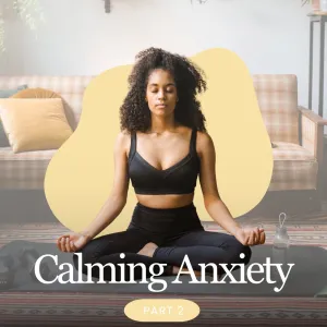 Calming Anxiety Guided Meditation Part 2
