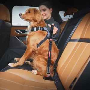 Click Dog Seat Belt Attachment with Drive Click Lead