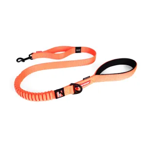 EzyDog Zero Shock Leash 48" With Traffic Control