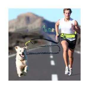 Handsfree Shock-Absorbing Bungee Dog Leash