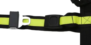 Hose Vice 200 w/ Seatbelt Buckles