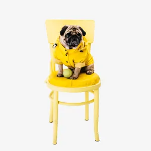 Thunder Shirt - Anxiety Wrap